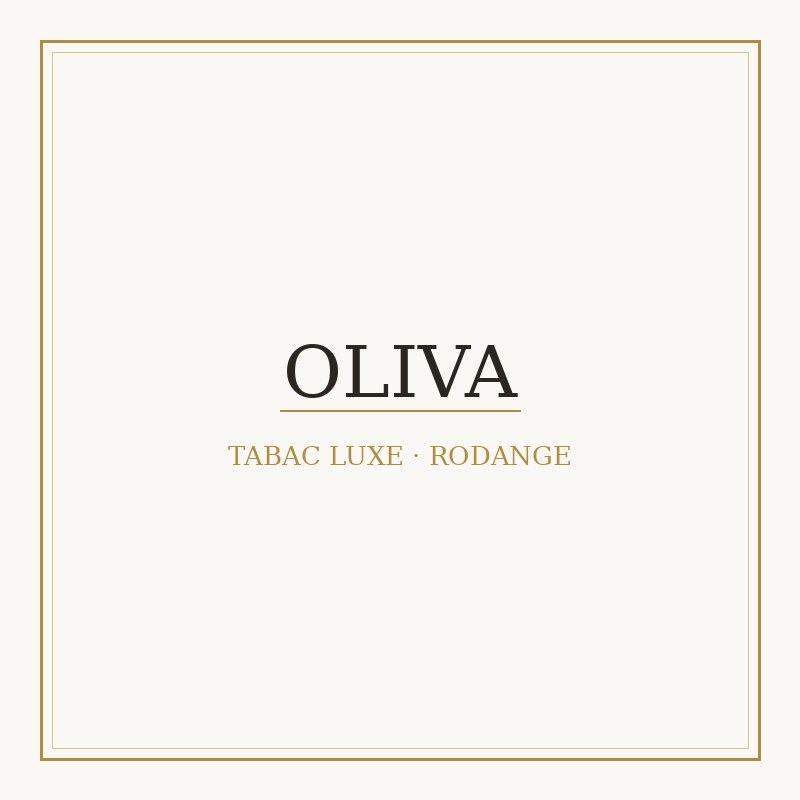 Oliva V Double Robusto 1 — Cigars at Tabac Luxe