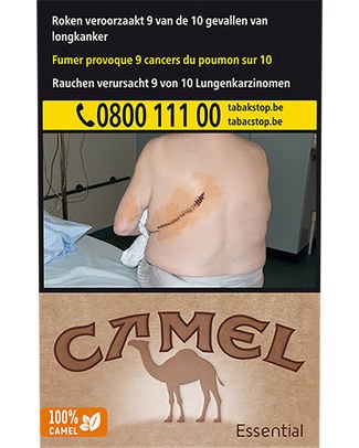 Camel Essential Brown 20/200 — Cigarettes at Tabac Luxe