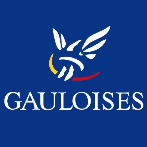 Gauloises Blondes Gold 25/200 — Cigarettes at Tabac Luxe