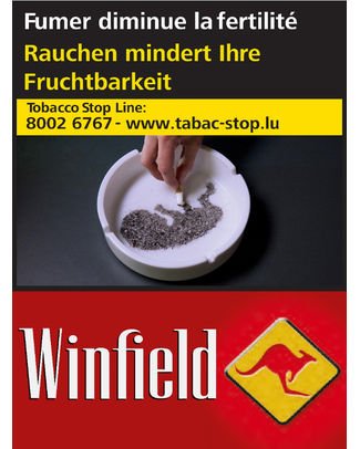 Winfield Red 30/240 — Cigarettes at Tabac Luxe