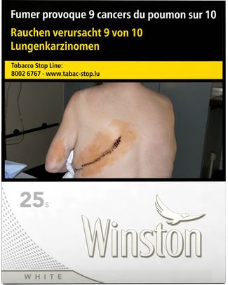 Winston White 25/200 — Cigarettes at Tabac Luxe